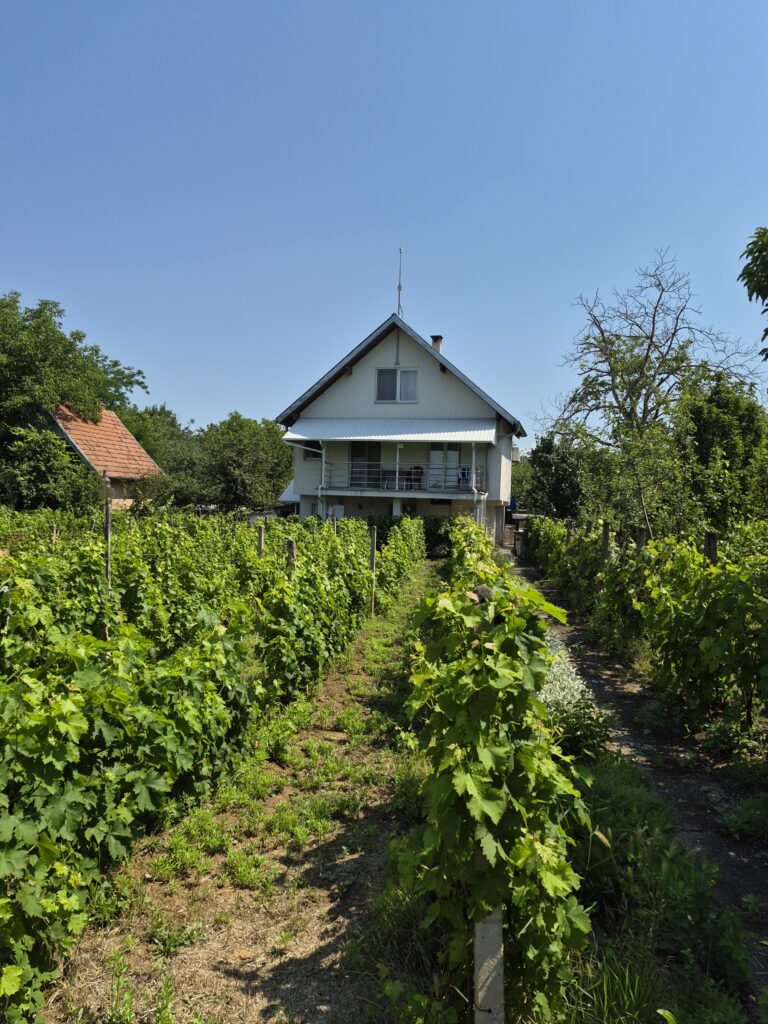 Kuća na mirnoj lokaciji, na obodu grada – idealna za porodični život