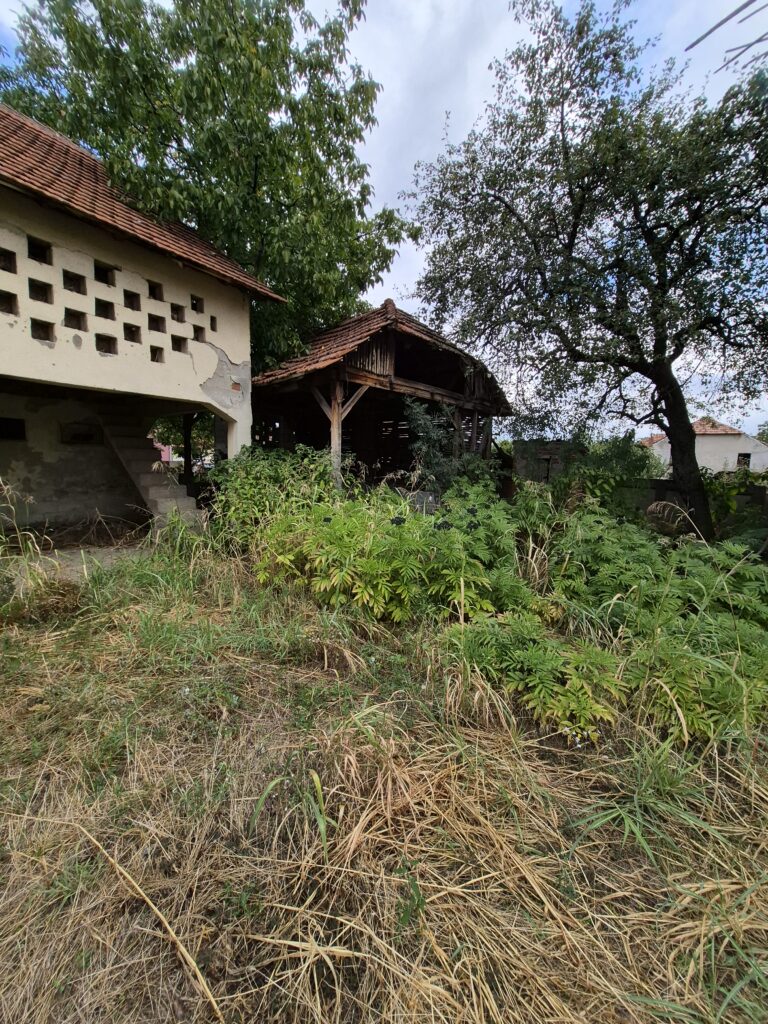 Seosko domaćinstvo u Raševici