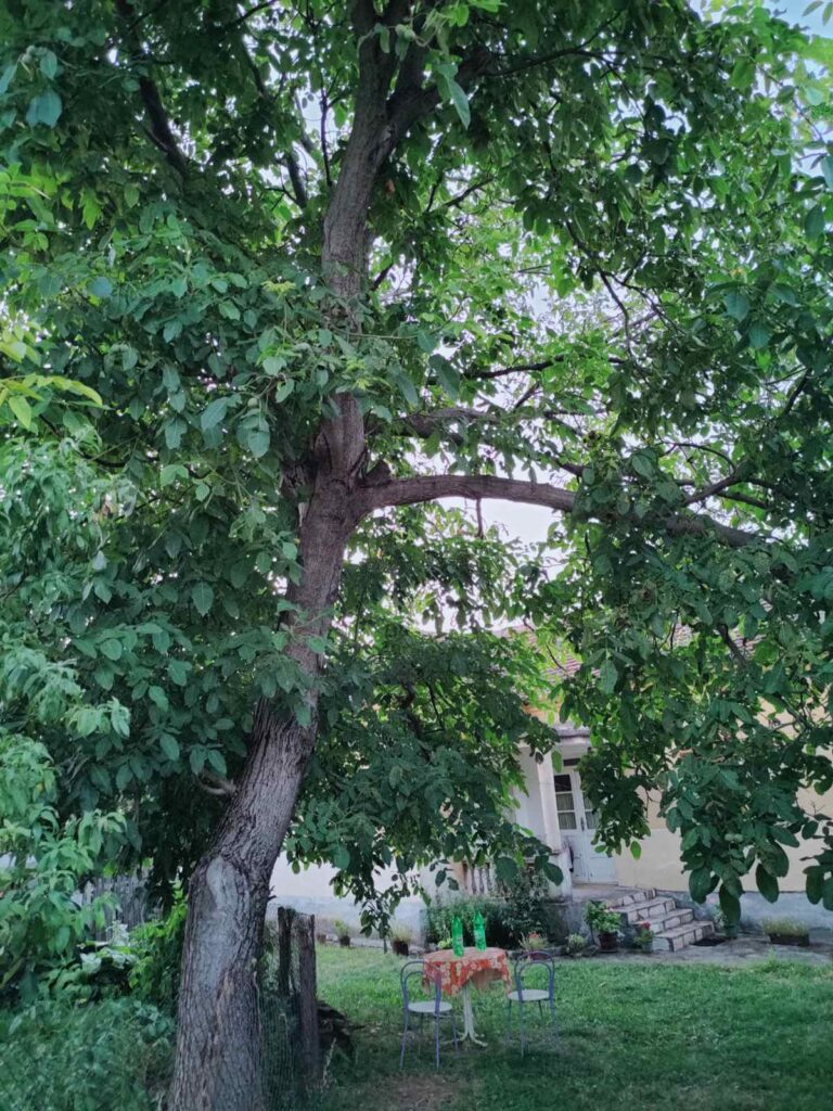 Legalizovano seosko domaćinstvo u Donjoj Mutnici