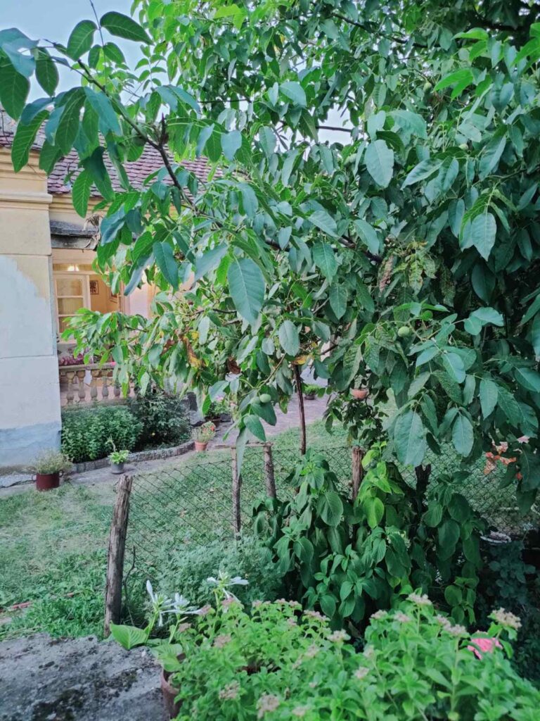 Legalizovano seosko domaćinstvo u Donjoj Mutnici